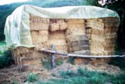 pileofstrawbales.jpg